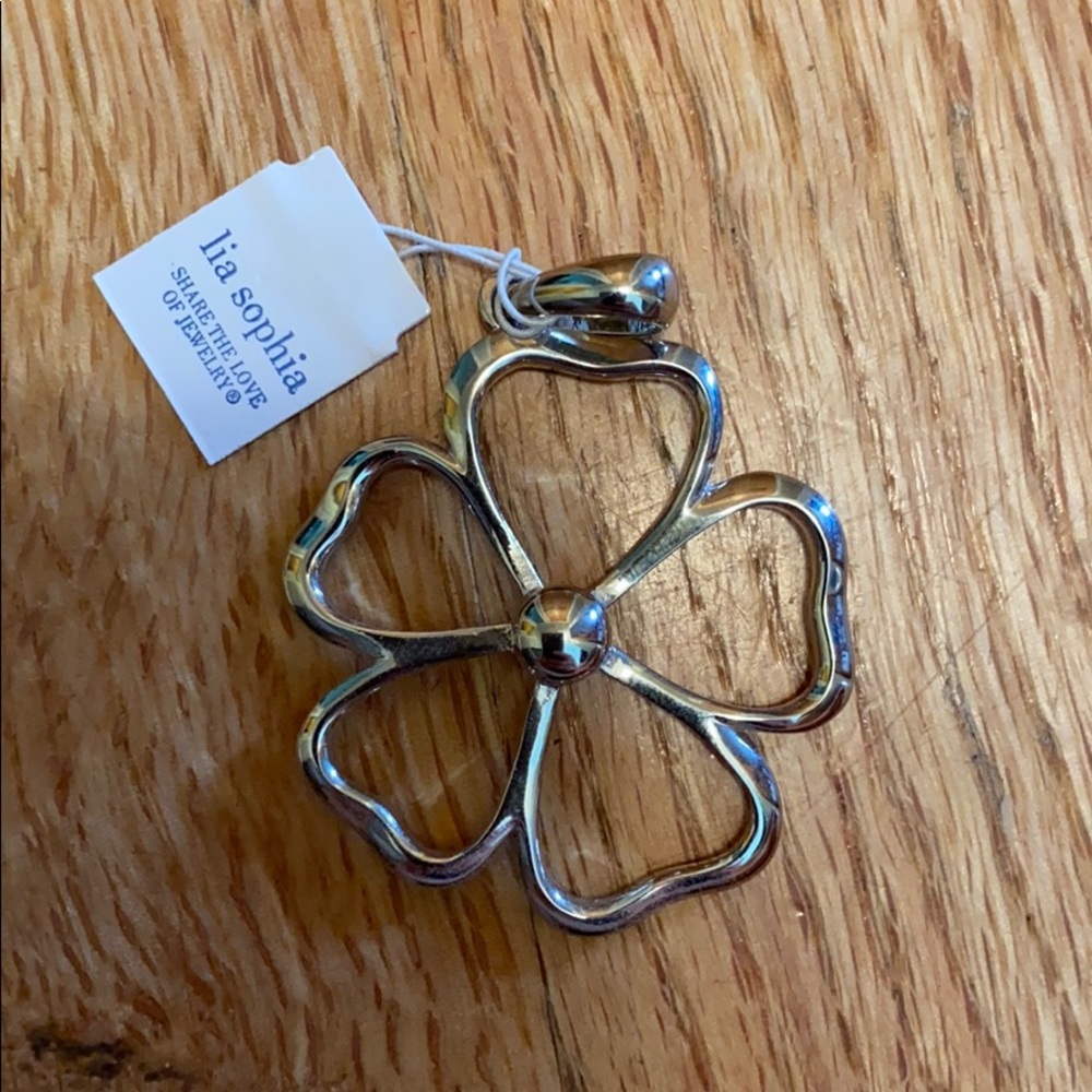 NWT Lia Sophia necklace pendant
